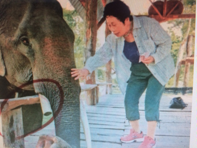 ベトナムで象と生きる 新村洋子 写真展